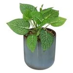 Plante artificielle, pot bleue clair en céramique