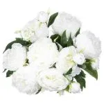 Bouquet 13 Pivoine BLC GM H50