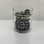 Plante artificielle "Message" Pot verre H.8 cm
