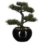 Bonsaï haut 36 cm avec pot céramique