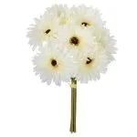 Bouquet 7 gerberas haut 26 cm GERBERA IVOIRE