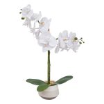 Orchidée Clera haut 52 cm avec pot céramique