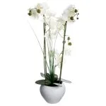 Orchidée haut 53 cm avec vase céramique blanc