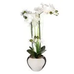 Orchidée haut 53 cm avec vase céramique argent