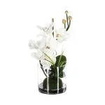 Composition orchidée haut 37 cm avec vase verre ORCHIDEE BLANC