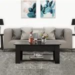 NINA COFEE TABLE NOIR 100*55*h43 cm