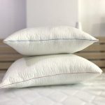 Lot de 2 oreillers  souplesse cooler 70x50 cm