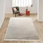 Tapis APPARENCE BEIGE 150 x 200 cm DLC-14 (BEIGE) (120014)