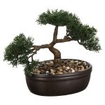 Bonsaï en pot en céramique Baki noir – hauteur 23 cm