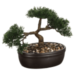 Bonsaï en pot en céramique Baki noir – hauteur 23 cm