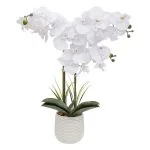 Orchidée artificielle "Riva" Pot céramique, H.60 cm