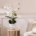 Orchidée artificielle en pot "Mick" Pot en céramique, Blanc, H.80 cm
