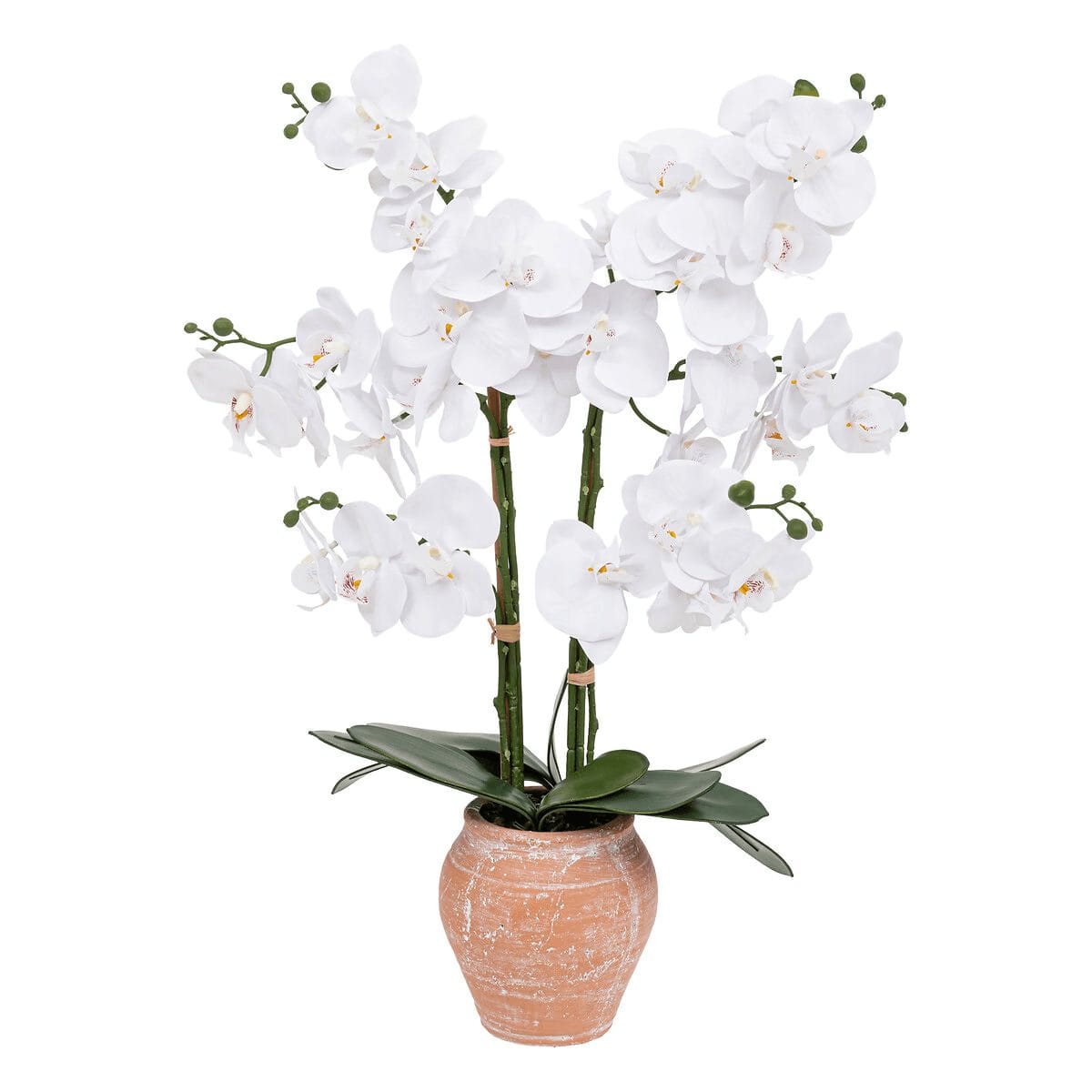 Orchidée artificielle "Dena" Pot terracotta, H.65 cm