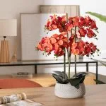 Orchidée artificielle en pot "Sanae" Pot en ciment, Orange, H.65 cm