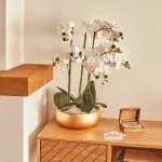 Composition florale "Urice" H.35 cm