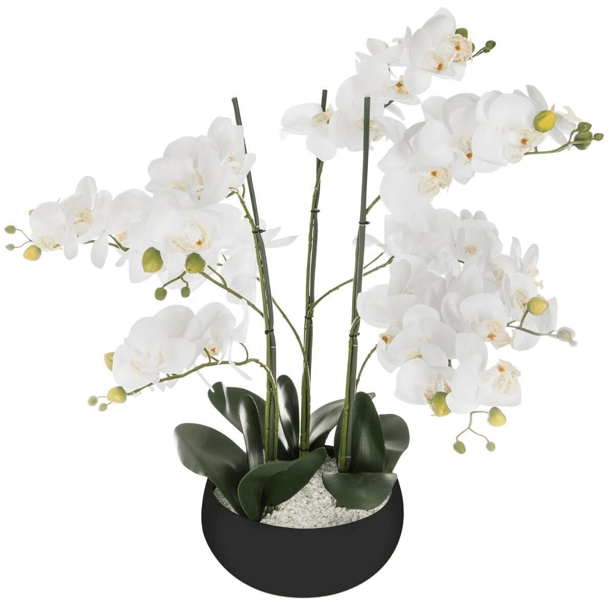 Orchidée artificielle en pot "Orchidée" Pot céramique, Noir, H.65 cm