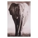 Toile encadrée "Elephant" 75x115 cm